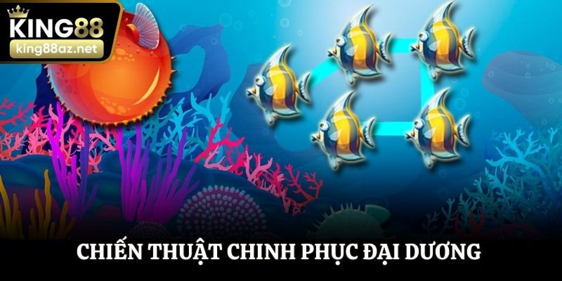 Chiến thuật chinh phục đại dương nâng cao tỷ lệ thắng