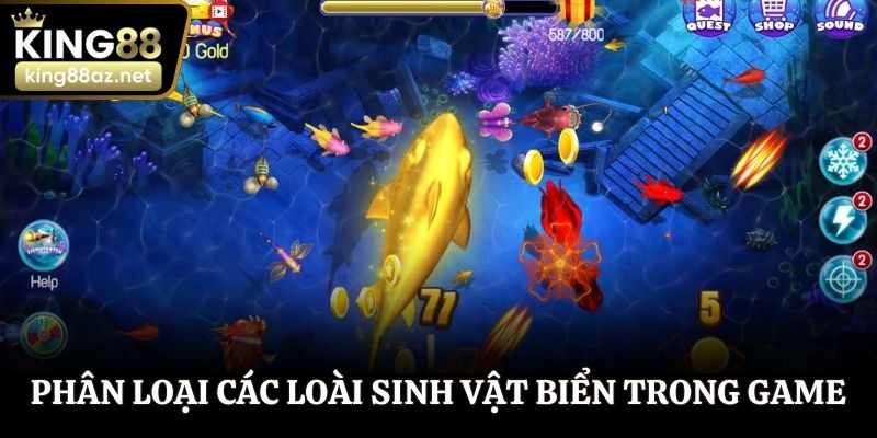 Phân loại các loài sinh vật biển có mặt trong game