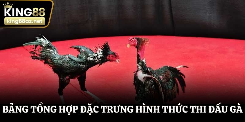Bảng tổng hợp đặc trưng hình thức thi đấu gà
