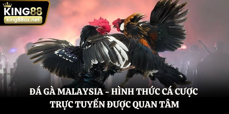 Đá gà Malaysia