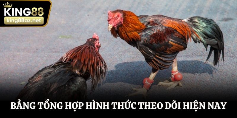 Bảng tổng hợp hình thức theo dõi hiện nay