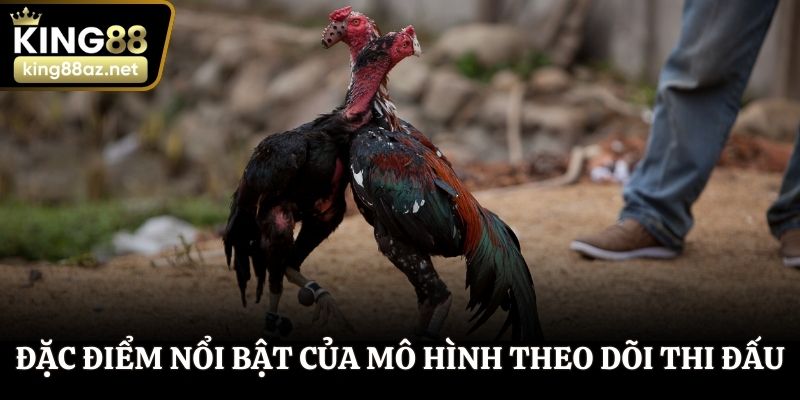 Đặc điểm nổi bật của mô hình theo dõi thi đấu