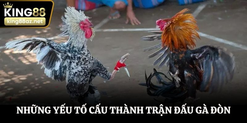 Những yếu tố cấu thành trận đấu gà đòn