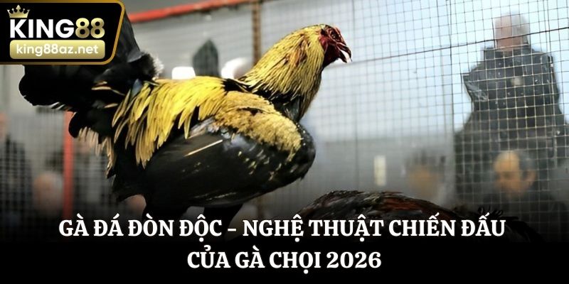 Gà đá đòn độc