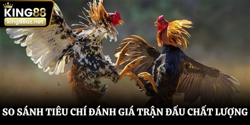 So sánh tiêu chí đánh giá trận đấu chất lượng
