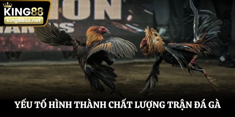 Yếu tố hình thành chất lượng trận đá gà