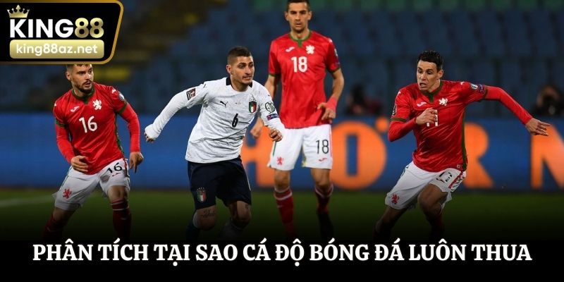 Phân tích tại sao cá độ bóng đá luôn thua do thông tin hời hợt