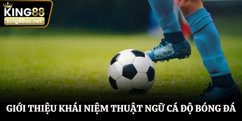 Giới thiệu khái niệm thuật ngữ cá độ bóng đá