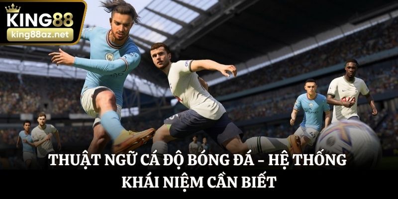 thuật ngữ cá độ bóng đá