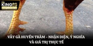 Vảy gà Huyền Trâm