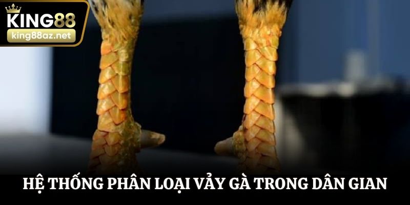 Hệ thống phân loại vảy gà trong ghi chép dân gian