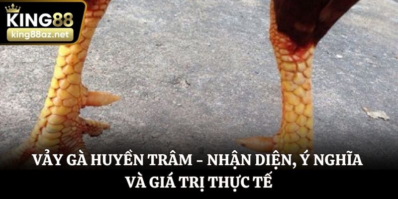Vảy gà Huyền Trâm