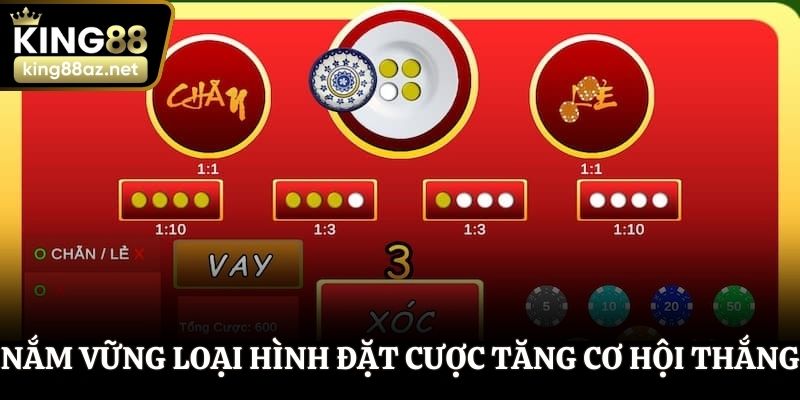 Nắm vững các loại hình đặt cược để gia tăng cơ hội thắng